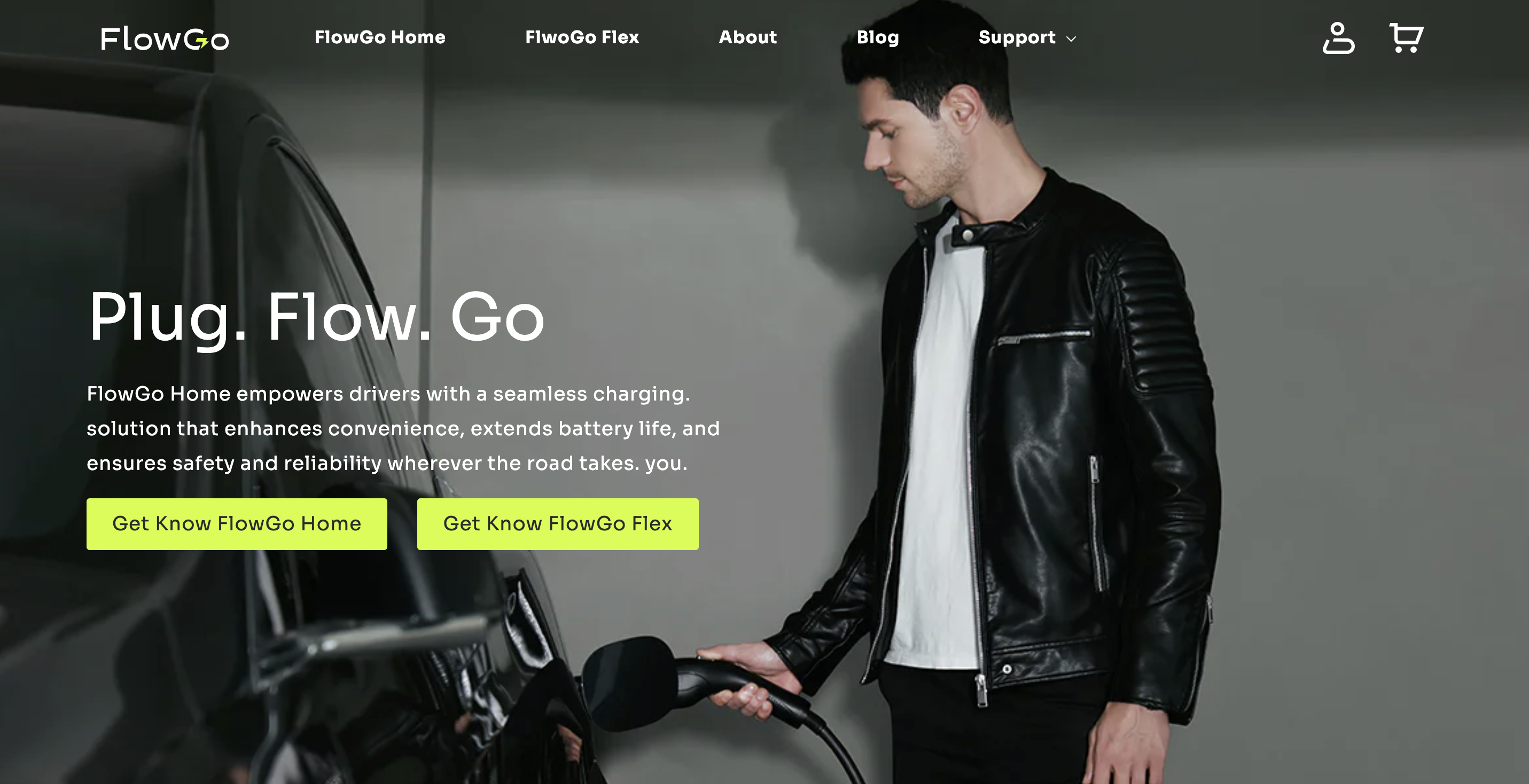 FlowGo EV charging brand and product experience