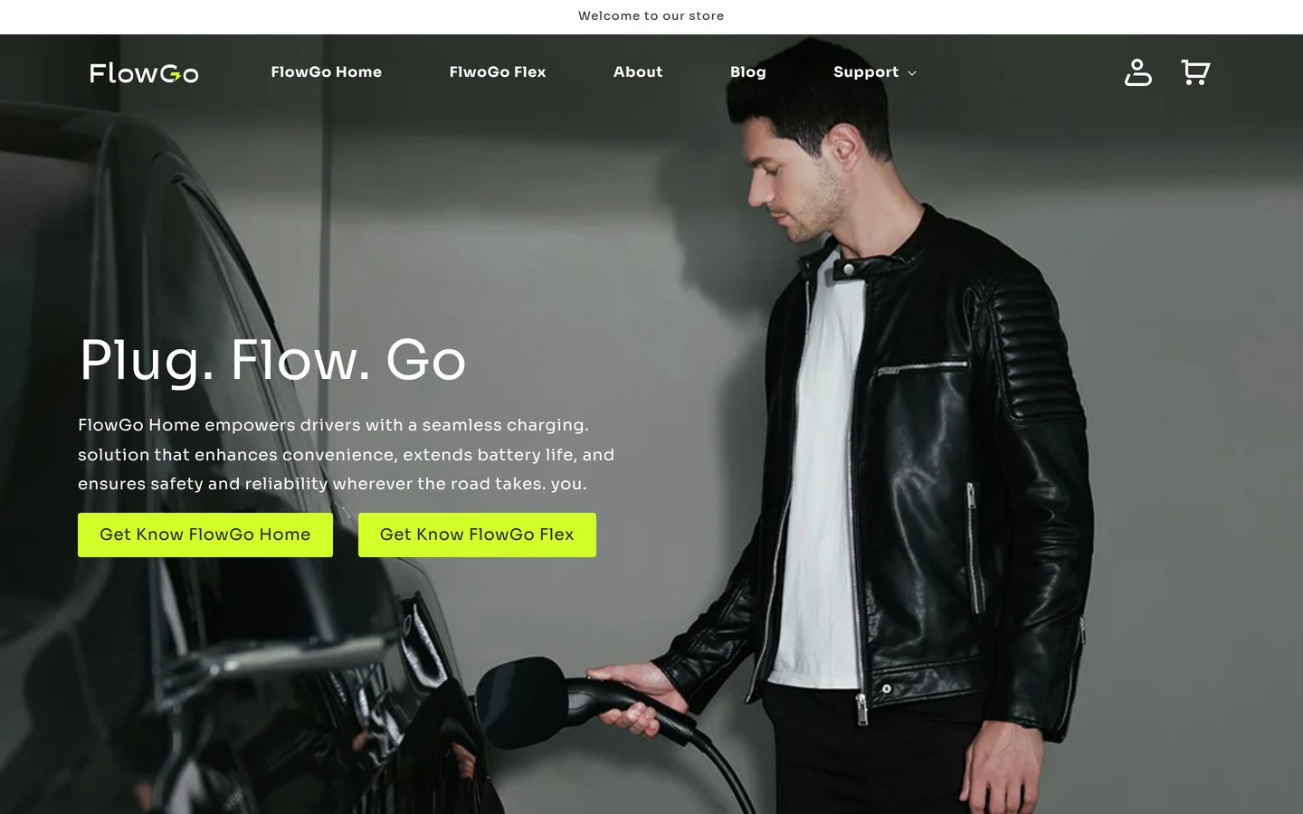 FlowGo consumer website homepage on desktop